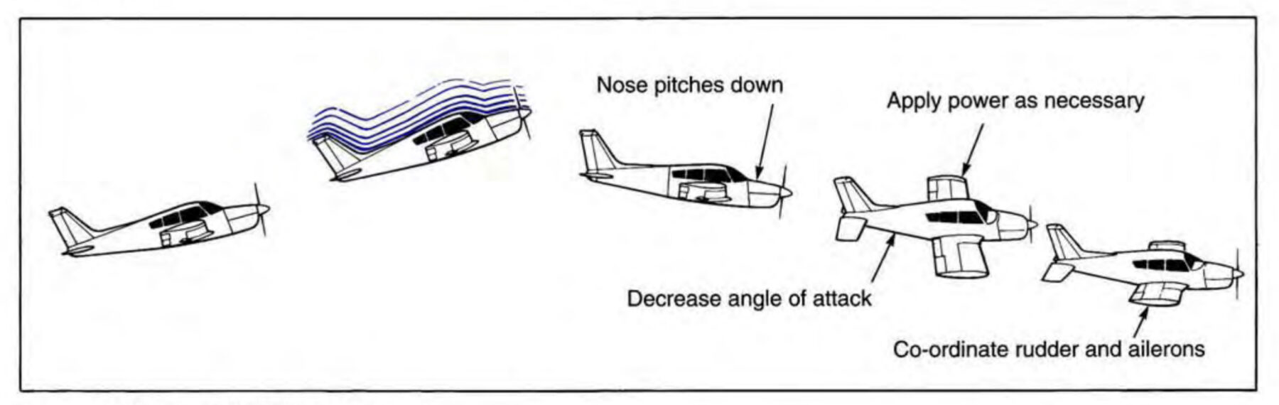 Weekly Pilot Summer Camps Acadia College